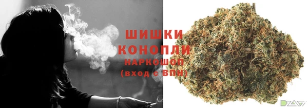 эйфоретик Карпинск