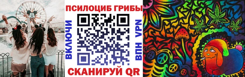 Галлюциногенные грибы мицелий Купить где Зеленокумск
